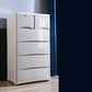 Plastic Polished Finish Storage Cabinet Contemporary Cabinet with Drawers