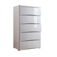 Plastic Polished Finish Storage Cabinet Contemporary Cabinet with Drawers