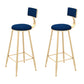 1/2/3/5 Pieces Bar Stool and Table Set Contemporary Bar Table Set Blue 30"H Stools (Set of 2) Clearhalo 'Bar Furniture' 'furn' 'furn_home_bar_bar_sets' 'Furniture' 'Home Bars & Bar Sets' 'home_bar_bar_sets' 'Kitchen & Dining Furniture' 6530447