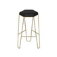 Glam Style Rectangle Counter Set 1/3 Pieces Solid Wood Bistro Set for Indoor Black-Gold 30"H Stool (Single) Clearhalo 'Bar Furniture' 'furn' 'furn_home_bar_bar_sets' 'Furniture' 'Home Bars & Bar Sets' 'home_bar_bar_sets' 'Kitchen & Dining Furniture' 6530520