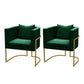 Modern Parsons Arm Chair Velvet Gold Base Dining Chair for Dining Room Green 2 Piece Set Clearhalo 'Dining Chairs' 'Dining Tables & Seating' 'dining_chair' 'furn' 'furn_dining_chair' 'Furniture' 'Kitchen & Dining Furniture' 6530890