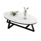 Contemporary Coffee Table Oval Single Stone Coffee Cocktail Table Black Gloss White Clearhalo 'Coffee & Accent Tables' 'Coffee Tables' 'coffee_tables' 'furn' 'furn_coffee_tables' 'Furniture' 'Living Room Furniture' 6535652