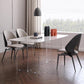 Open Back Dining Side Chair Modern Metal Base Indoor-Outdoor Chair