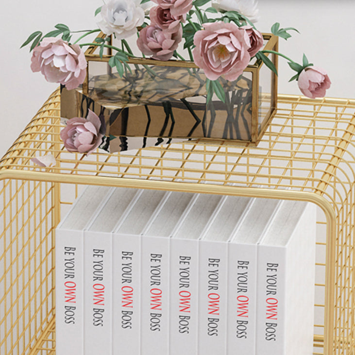 Glam Closed Back Bookcase Metal Standard Bookshelf with Shelves Clearhalo 'Bookcases' 'furn' 'furn_bookcases' 'Furniture' 'Office Furniture' 6550158