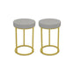 Mildew Resistant Ottoman Plain Velvet Contemporary Round Metal Frame Ottoman Gray 2 Piece Set Gold Clearhalo 'furn' 'furn_ottomans_poufs' 'Furniture' 'Living Room Furniture' 'Ottomans & Poufs' 'ottomans_poufs' 6552931