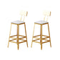 Metal Barstool Industrial Armless Bar Stool with Gold Metal Legs