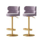 Contemporary Low Back Dining Stool Adjustable Height Bar Stool with Footrest