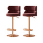 Contemporary Low Back Dining Stool Adjustable Height Bar Stool with Footrest