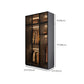 Modern Glass Wardrobe Cloth Rod Included Wardrobe Closet without Light Clearhalo 'Armoires & Wardrobes' 'armoires_wardrobes' 'Bedroom Furniture' 'furn' 'furn_armoires_wardrobes' 'Furniture' 6565442