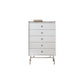 Mid-Century Modern Accent Chest with Drawers and Straight Legs in Brone Clearhalo 'Cabinets & Chests' 'cabinets_chests' 'furn' 'furn_cabinets_chests' 'Furniture' 'Living Room Furniture' 6567788