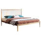 Glam Golden Finish Metallic Bed Wire-Grid Iron Bed Frame with Headboard