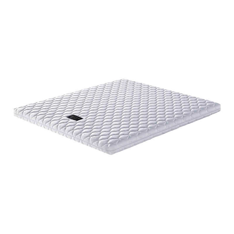 Glam Golden Finish Metallic Bed Wire-Grid Iron Bed Frame with Headboard