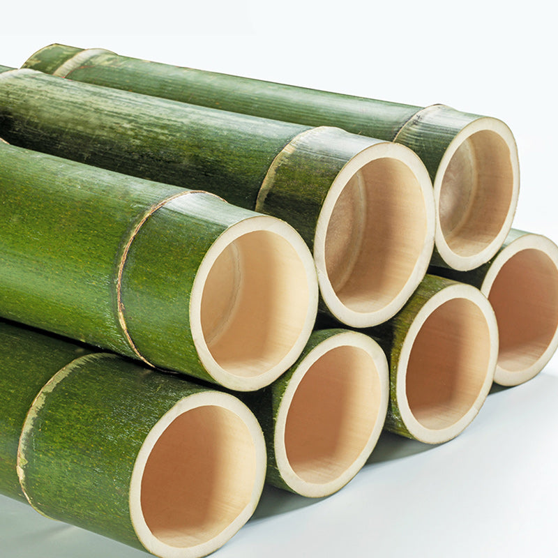 Water Resistant Storage Cabinet Glass Paned Standard Cabinet Clearhalo 'Cabinets & Chests' 'cabinets_chests' 'furn' 'furn_cabinets_chests' 'Furniture' 'Living Room Furniture' 6568244