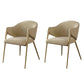 Glam Indoor Upholstered Dining Chair Gold Legs Parsons Arm Chair Khaki 2 Piece Set Clearhalo 'Dining Chairs' 'Dining Tables & Seating' 'dining_chair' 'furn' 'furn_dining_chair' 'Furniture' 'Kitchen & Dining Furniture' 6576167