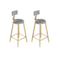 Contemporary Cushion Bar Stool Backrest Barstool with Gold Metal Legs Gray 2 Piece Set Clearhalo 'Bar Furniture' 'Bar Stools' 'bar_stools' 'furn' 'furn_bar_stools' 'Furniture' 'Kitchen & Dining Furniture' 6579809
