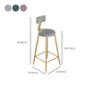 Contemporary Cushion Bar Stool Backrest Barstool with Gold Metal Legs Clearhalo 'Bar Furniture' 'Bar Stools' 'bar_stools' 'furn' 'furn_bar_stools' 'Furniture' 'Kitchen & Dining Furniture' 6579827