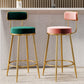 Glam Armless Backrest Counter Stool Iron Counter Stool with Cushion and Pedal Clearhalo 'Bar Furniture' 'Bar Stools' 'bar_stools' 'furn' 'furn_bar_stools' 'Furniture' 'Kitchen & Dining Furniture' 6580115