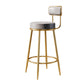 Glam Armless Backrest Counter Stool Iron Counter Stool with Cushion and Pedal Light Gray 1 Piece Clearhalo 'Bar Furniture' 'Bar Stools' 'bar_stools' 'furn' 'furn_bar_stools' 'Furniture' 'Kitchen & Dining Furniture' 6580116