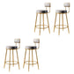 Glam Armless Backrest Counter Stool Iron Counter Stool with Cushion and Pedal Light Gray 4 Piece Set Clearhalo 'Bar Furniture' 'Bar Stools' 'bar_stools' 'furn' 'furn_bar_stools' 'Furniture' 'Kitchen & Dining Furniture' 6580119