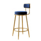 Glam Armless Backrest Counter Stool Iron Counter Stool with Cushion and Pedal Blue 1 Piece Clearhalo 'Bar Furniture' 'Bar Stools' 'bar_stools' 'furn' 'furn_bar_stools' 'Furniture' 'Kitchen & Dining Furniture' 6580132