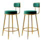 Glam Armless Backrest Counter Stool Iron Counter Stool with Cushion and Pedal Blackish Green 2 Piece Set Clearhalo 'Bar Furniture' 'Bar Stools' 'bar_stools' 'furn' 'furn_bar_stools' 'Furniture' 'Kitchen & Dining Furniture' 6580143