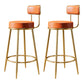 Glam Armless Backrest Counter Stool Iron Counter Stool with Cushion and Pedal Orange 2 Piece Set Clearhalo 'Bar Furniture' 'Bar Stools' 'bar_stools' 'furn' 'furn_bar_stools' 'Furniture' 'Kitchen & Dining Furniture' 6580147