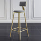 Glam Armless Backrest Counter Stool Iron Bar Stool with Velvet Cushion for Cafe