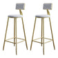 Glam Armless Backrest Counter Stool Iron Bar Stool with Velvet Cushion for Cafe