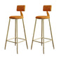 Tabouret de comptoir de dos de dossier sans bras glamour avec coussin de velours pour café