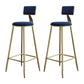 Glam Armless Backrest Counter Stool Iron Bar Stool with Velvet Cushion for Cafe