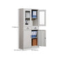 Modern File Cabinet Glass Doors Lock Storage Vertical Filing Cabinet Clearhalo 'Filing Cabinets' 'filling_cabinets' 'furn' 'furn_filling_cabinets' 'Furniture' 'Office Furniture' 6582383