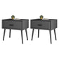 Contemporary Bed Nightstand Solid Wood Bedside Cabinet with Drawer Dark Gray 2 Piece Set Clearhalo 'Bedroom Furniture' 'furn' 'furn_night_stand' 'Furniture' 'night_stand' 'Nightstands' 6589133