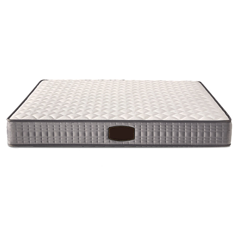 Modern Bed Frame Mattress Included Standard Bed with Custom Gold Legs Clearhalo 'Bedroom Furniture' 'Beds' 'furn' 'furn_beds' 'Furniture' 6591581