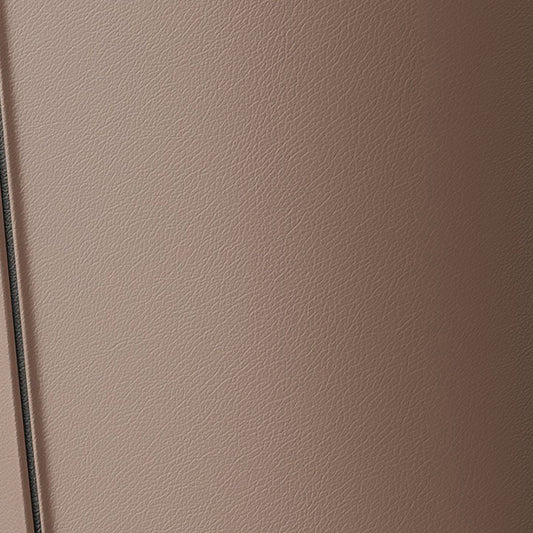 Sedia laterale in pelle finta sedia da pranzo in cucina senza braccio contemporanea