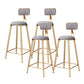 Glam Armless Backrest Counter Stool Iron Bar Stool with Cushion and Pedal for Balcony