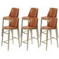 Glam Leather Bar Stool Backrest Gold Frame Counter Stool for Bristol