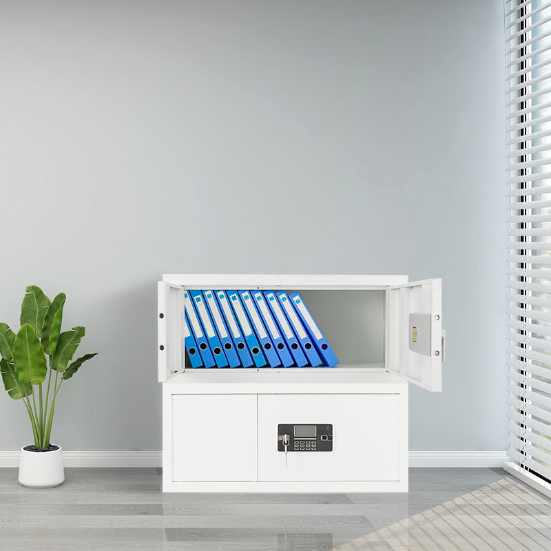 Contemporary File Cabinet Metal Frame Fire-Resistant Lateral File Cabinet with Lock Clearhalo 'Filing Cabinets' 'filling_cabinets' 'furn' 'furn_filling_cabinets' 'Furniture' 'Office Furniture' 6597529