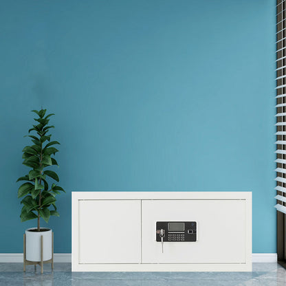 Contemporary File Cabinet Metal Frame Fire-Resistant Lateral File Cabinet with Lock Code Clearhalo 'Filing Cabinets' 'filling_cabinets' 'furn' 'furn_filling_cabinets' 'Furniture' 'Office Furniture' 6597537