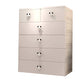 Contemporary Plastic Storage Cabinet Matte Finish Bedroom Cabinet Clearhalo 'Armoires & Wardrobes' 'armoires_wardrobes' 'Bedroom Furniture' 'furn' 'furn_armoires_wardrobes' 'Furniture' 6611729
