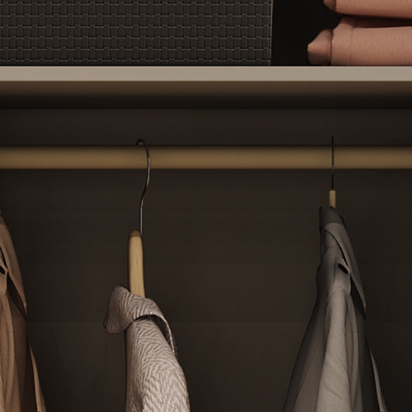 Contemporary Style Wardrobe Wooden Bedroom Wardrobe Closet with Clothes Rail Clearhalo 'Armoires & Wardrobes' 'armoires_wardrobes' 'Bedroom Furniture' 'furn' 'furn_armoires_wardrobes' 'Furniture' 6618519