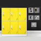 Matte Finish Steel Storage Cabinet with Hinged Doors Contemporary Non-Hanging Armoire Yellow 6 Clearhalo 'Armoires & Wardrobes' 'armoires_wardrobes' 'Bedroom Furniture' 'furn' 'furn_armoires_wardrobes' 'Furniture' 6629031