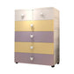 Plastic Non-Hanging Cabinet Contemporary Matte Finish Armoire