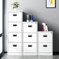 Vertical File Cabinet Metal Simple File Cabinet with Drawers for Office Clearhalo 'Filing Cabinets' 'filling_cabinets' 'furn' 'furn_filling_cabinets' 'Furniture' 'Office Furniture' 6636076