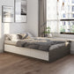 White and Brown Finish Platform Bed Lift Up Storage Platform Bed Frame Bed & Mattress Latex Clearhalo 'Bedroom Furniture' 'Beds' 'furn' 'furn_beds' 'Furniture' 6637770