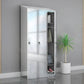 Chrome Steel Cabinet with Hinged Doors Modern Storage Cabinet for Bathroom