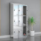 Chrome Steel Cabinet with Hinged Doors Modern Storage Cabinet for Bathroom