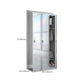 Chrome Steel Cabinet with Hinged Doors Modern Storage Cabinet for Bathroom
