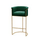 Glam Style Bar Stool Armed Upholstered Bar Stool for Dining Room Green 1 Piece Clearhalo 'Bar Furniture' 'Bar Stools' 'bar_stools' 'furn' 'furn_bar_stools' 'Furniture' 'Kitchen & Dining Furniture' 6661492