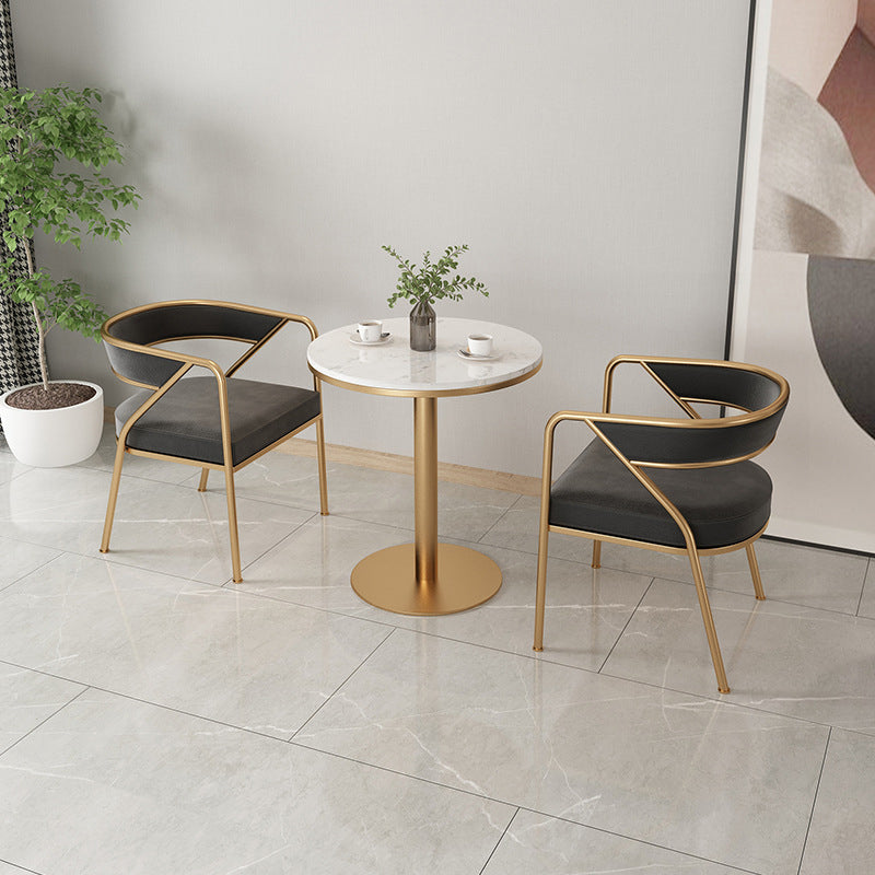 Dining Room Glam Chair Gold Legs Velvet Arm Chair with Upholstered