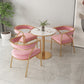 Dining Room Glam Chair Gold Legs Velvet Arm Chair with Upholstered